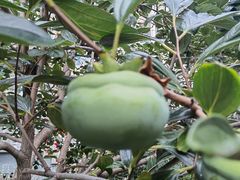 -威海大水泊国际机场