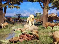 -国家自然博物馆