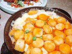 -新白鹿餐厅(嘉兴八佰伴华府店)