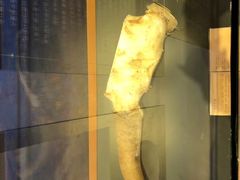 -迪庆藏族自治州博物馆