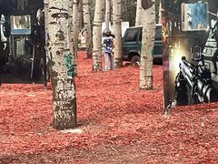 -朝阳公园游乐园