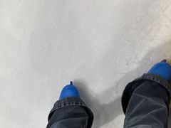 -松江大学城体育馆滑冰馆