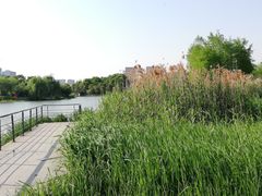 -尚贤河湿地