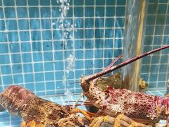 -庆赫隆融合菜馆(群力店)