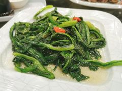 油麦菜-清真·益鑫羊肉手抓馆(花园北街店)