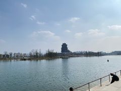 -金海椒罐罐鲢鱼(东方桂苑店)