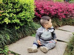-成飞公园