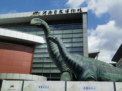 -河南自然博物馆