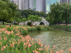 -南宁南湖公园