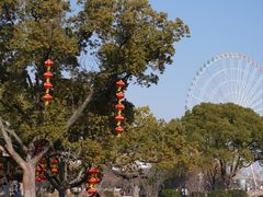 -无锡蠡湖国家湿地公园-蠡园