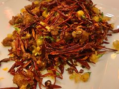 花千骨-院8里·少城记忆老川菜(宽窄巷子店)