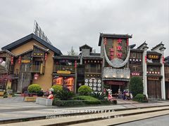 -老凯俚酸汤鱼(多彩城店)