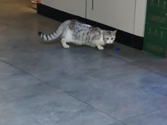 -金山网咖(汇嘉时代店)