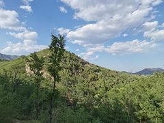 -白水寺森林公园