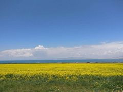 -青海湖国家重点风景名胜区