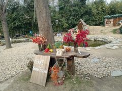 -HERRE·FARM 赫尔露营农场·团建聚会包场