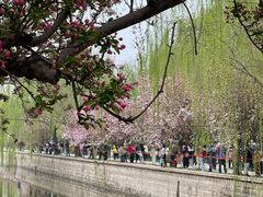 -元大都城垣遗址公园