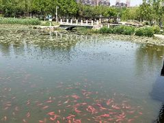 -前关湿地公园