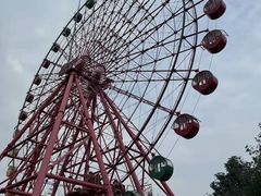 -南湖梦幻岛