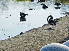 -长春市南湖公园