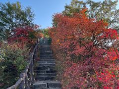 -秦岭终南山世界地质公园翠华山景区