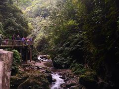 -峨眉山风景名胜区