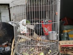 -姥家大锅台水库渔家