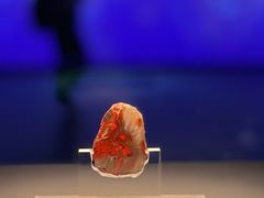 -北京大葆台遗址博物馆