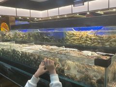 -苏格里岛自助烤肉海鲜火锅(成都金牛万达店)