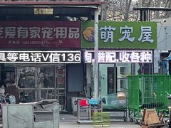 -中环花鸟鱼虫市场