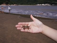 -嵊泗基湖沙滩