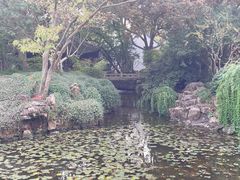 -上海醉白池公园
