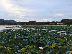 -顺峰山公园