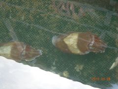 -海上驿站渔家菜馆