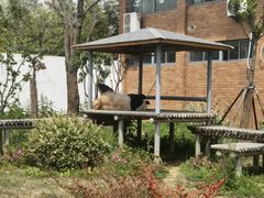 -苏州太湖国家湿地公园