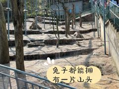 -西霞口神雕山野生动物世界