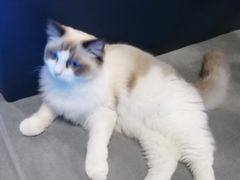 -零纪元VR体验馆·桌游(黄浦店)