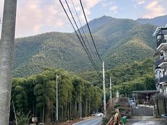 -莫干山风景区
