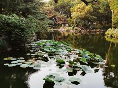 -叶家花园