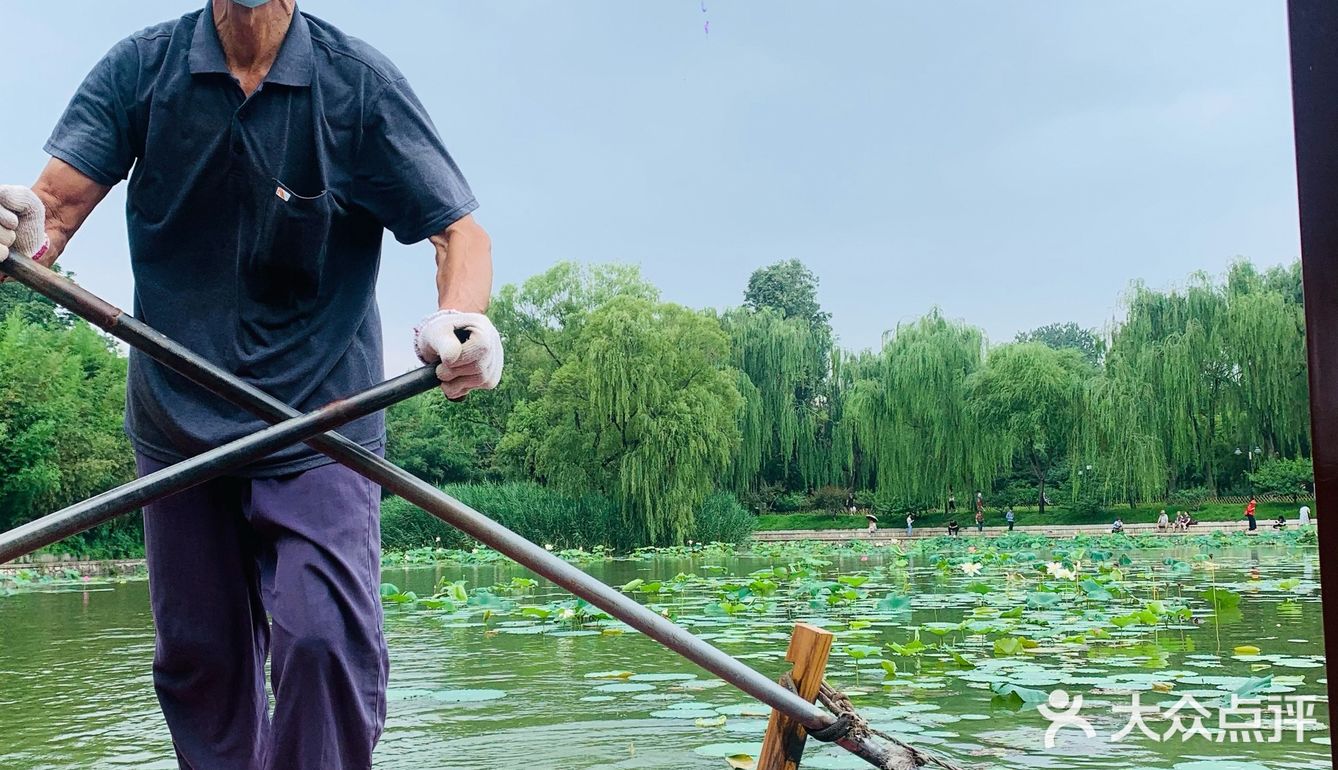 北京最值得去的免费公园｜紫竹院赏荷花🌸