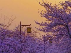 -蜀冈西峰生态公园