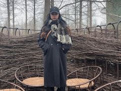 -黄海国家森林公园