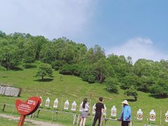 -关山草原