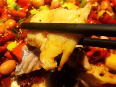 -锦尚阁烤鱼(望京新荟城店)