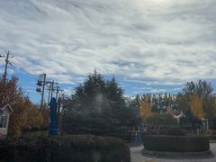 -普兰达德国餐厅·德式脆皮烤猪肘·自酿啤酒(观唐店)