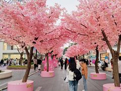 -东莞松山湖万象汇