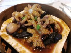 咖喱蒸八爪鱼-沙河粉村·国家非遗传承(云台店)