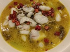 椒麻黑鱼片-古南都·江苏酒家(建宁路店)