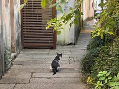 -小河直街历史文化街区