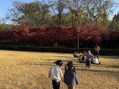 -白马涧龙池景区